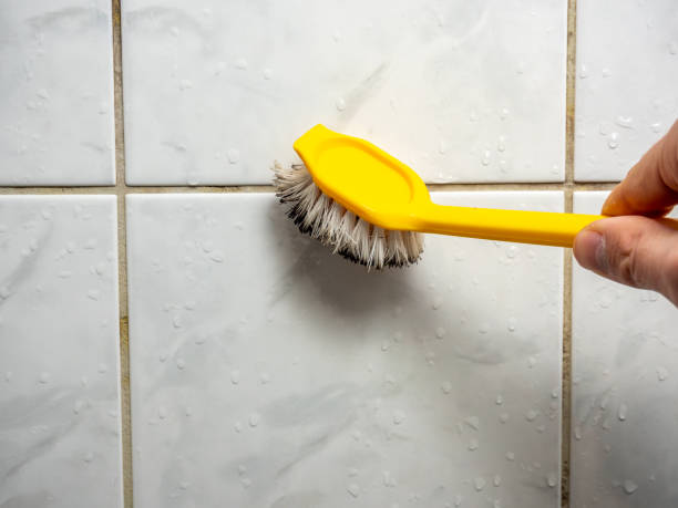 Best Fast Mold Removal  in Salisbury, NY
