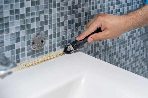 Best Mold Removal Near Me  in Salisbury, NY