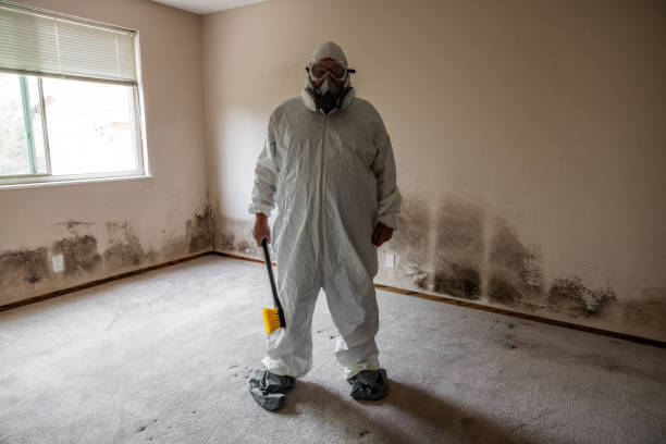 Best Mold Testing  in Salisbury, NY
